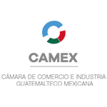 Logo Camex
